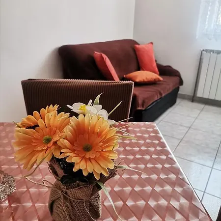 Apartman Petrica Malinska