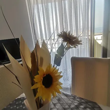 Apartman Petrica *